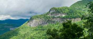 Asheville, NC Pay Per Click Ads image Western North Carolina Forests